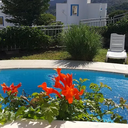 Holiday Gardens